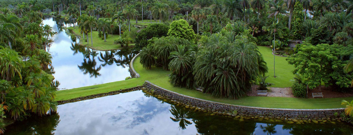 Fairchild Tropical Botanic Garden