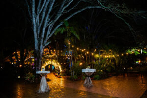 Living Sculpture Sanctuary