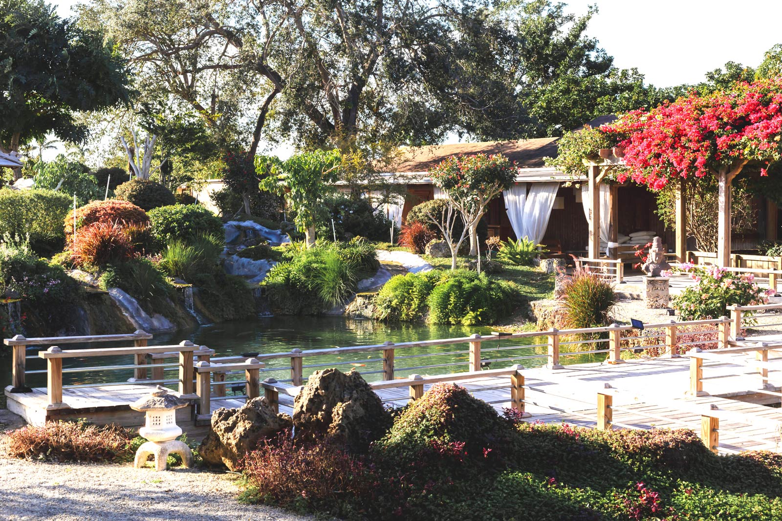 Redlands Koi Garden by Cortiela Photography